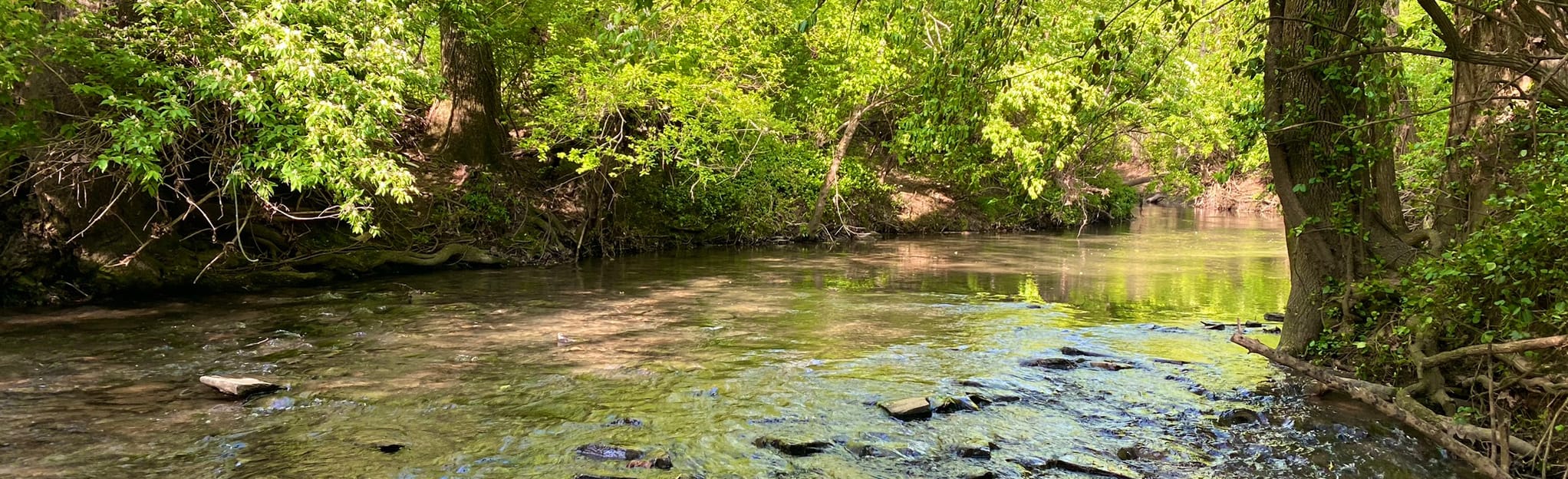 Aspen Grove Walking Trail 173 Reviews, Map Tennessee AllTrails