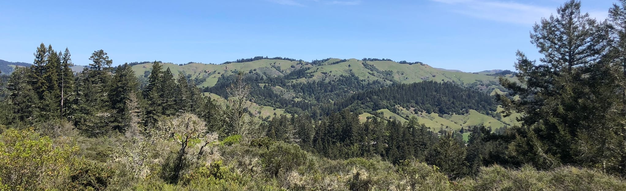 Resaca, San Geronimo Ridge and Manzanita Fire Road Map, Guide
