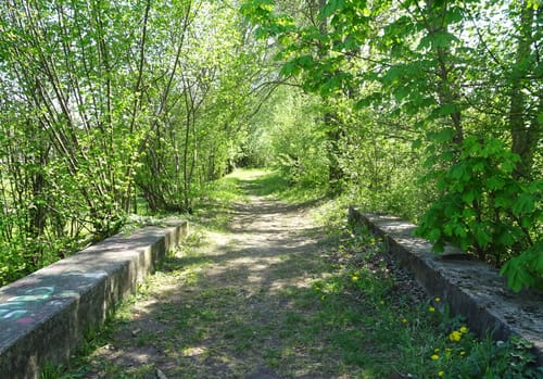 MTB: Unterschwarzach
