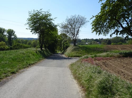 Radrunde durch durch das Elsenztal bei Mauer