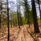 Gladwin ORV Scramble Area, Michigan - 36 Reviews, Map | AllTrails