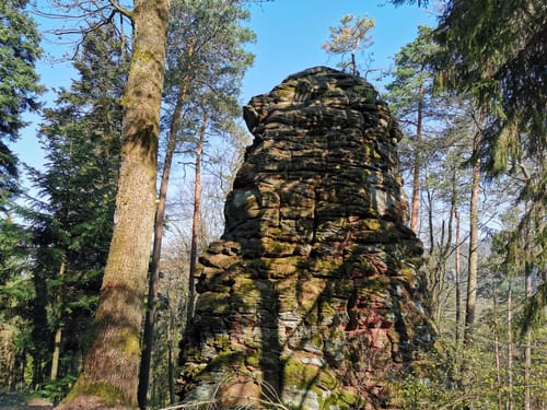 Bärenbrunnerhof - Busenberg
