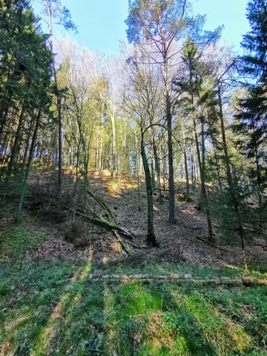 Bärenbrunnerhof - Busenberg