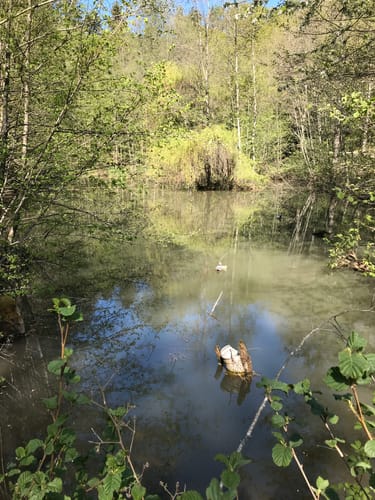 Haller Landhege am Kelterbuckel
