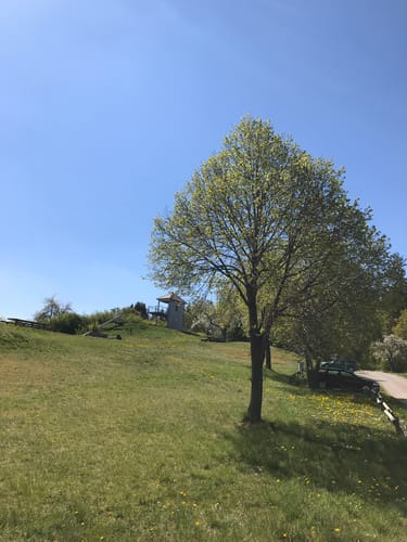 Haller Landhege am Kelterbuckel