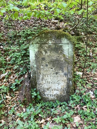 Haller Landhege am Kelterbuckel