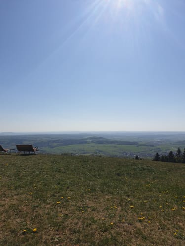 Waldfenster (Extratour)