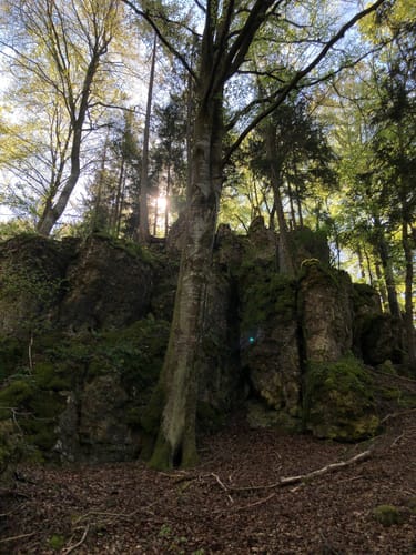 Arnsberg - Kipfenberg - Schambach
