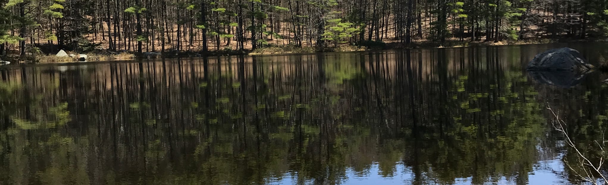 Net Wyola to Wendell, Massachusetts 13 Reviews, Map AllTrails