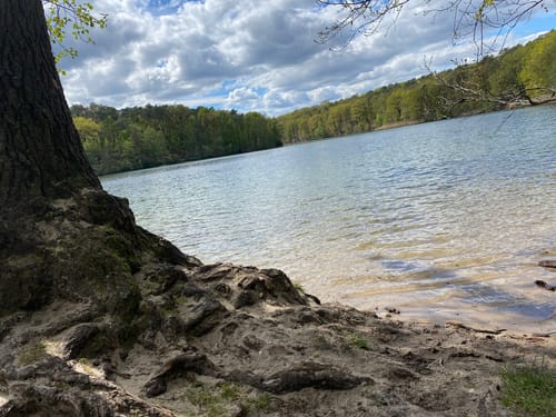 Schlachtensee-Runde