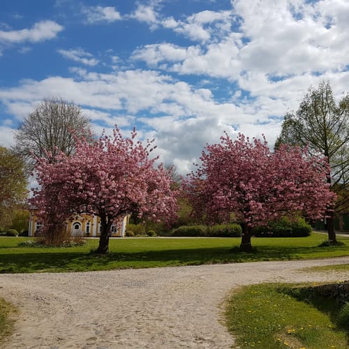 Sehestedtwald entlang des Nord-Ostee-Kanals