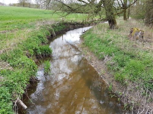 Sehestedtwald entlang des Nord-Ostee-Kanals