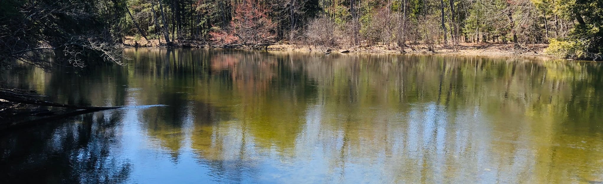 Nature Loop Trail 143 Reviews, Map Maine AllTrails