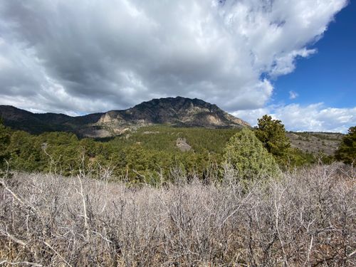 are dogs allowed at cheyenne mountain state park