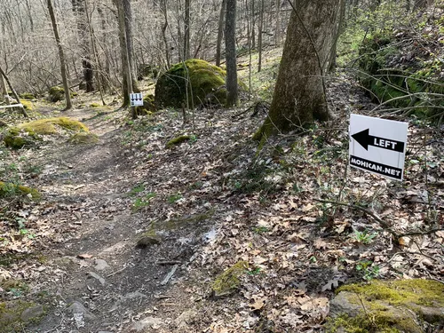 Mohican mountain bike discount trail