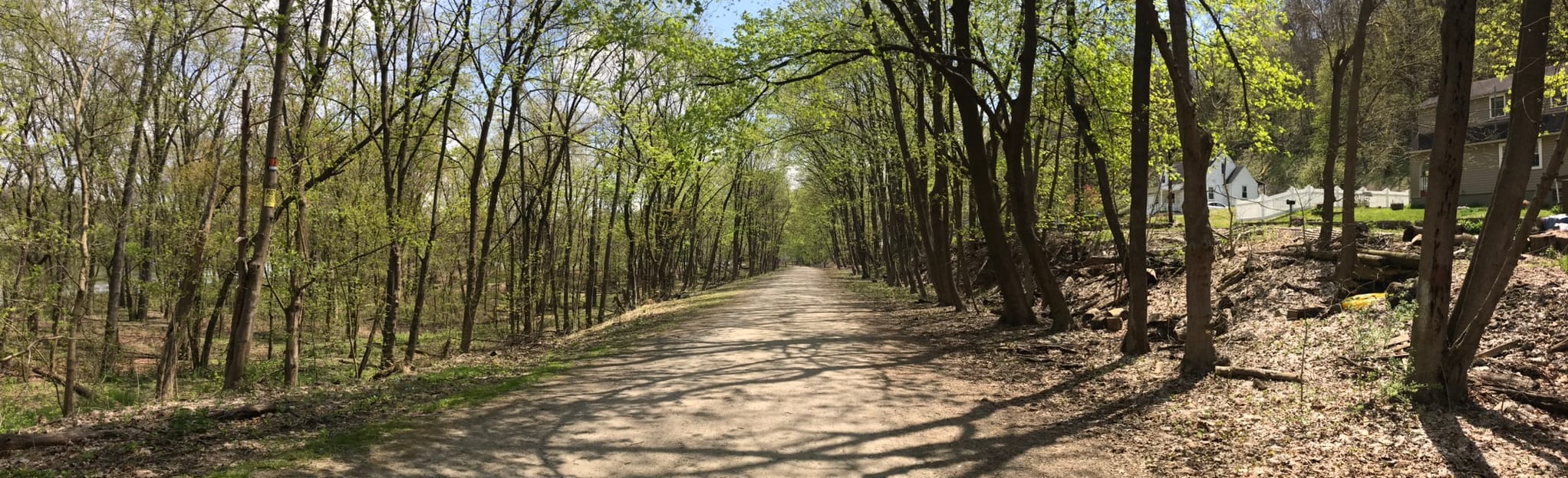 Witch Hazel Trail via Great Allegheny Passage, Pennsylvania 241
