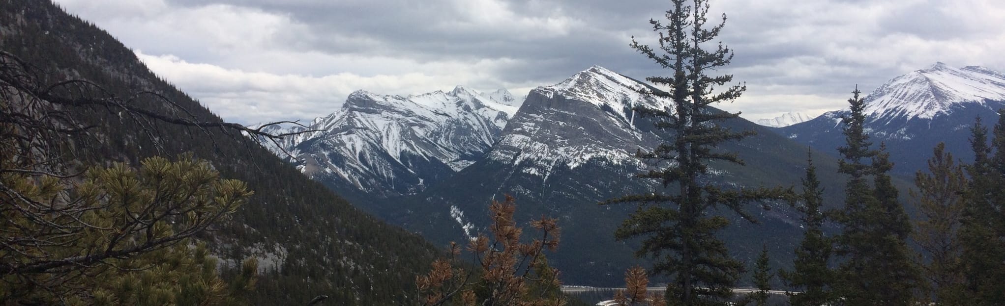 Grotto Mountain via Grotto Traverse Route, Alberta, Canada - 54 Reviews ...
