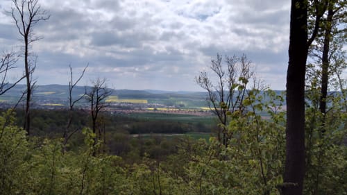Rundwanderweg Itzum - Querburg - Knebelberg