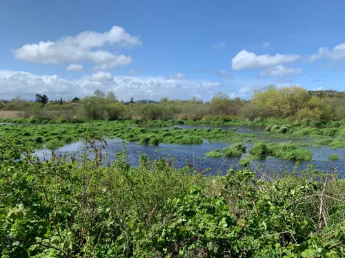 Saanich Hiking Trails