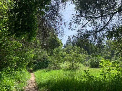 10 Best Trail Running Trails in Santa Cruz AllTrails