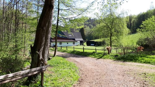 Griesensiepen bei Beyenburg