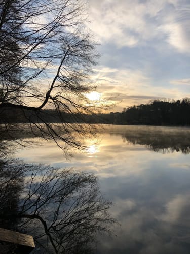 MTB Tour: Herzfelde - Liebenberg - Altbuchhorst