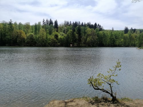 Um den Itzenplitzerweiher
