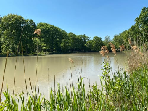 Zum Hamberger See
