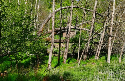 Himmelbergtour (Premiumwanderweg)