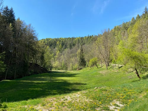Rundweg Kirchthalmühle