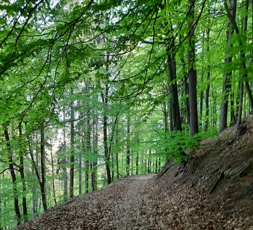 Himmelbergtour (Premiumwanderweg)