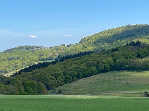 Riedelbacher Heide über Tenne