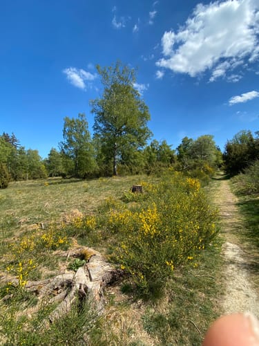 Hasselbach - Wolfsküppel - Neuweilnau