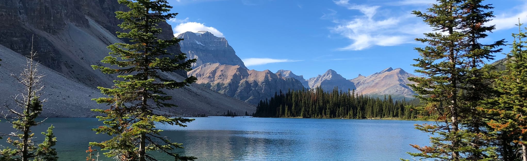 Ball Pass Junction Campground Egypt Lake Campground 110 Photos