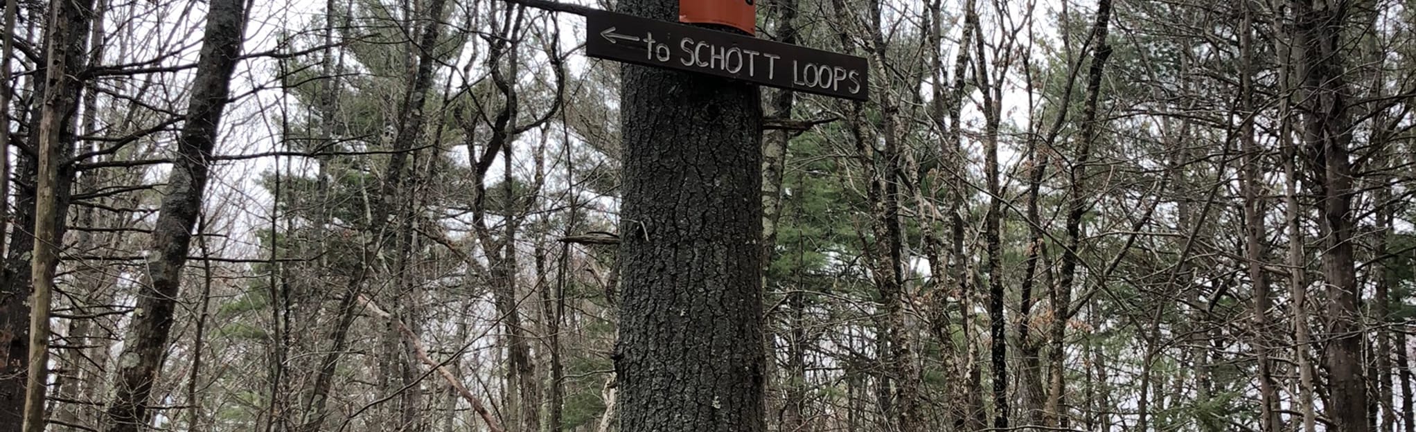 Charlton Street School Trail 71 Reviews, Map Massachusetts AllTrails