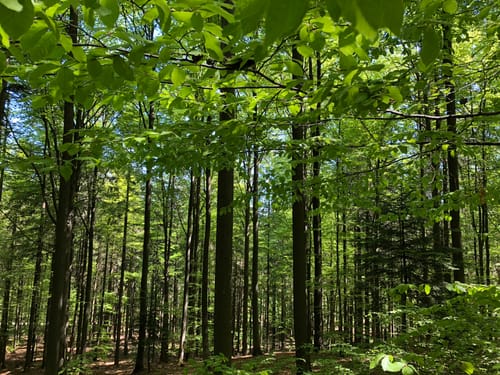 Hohe Brach Wanderung