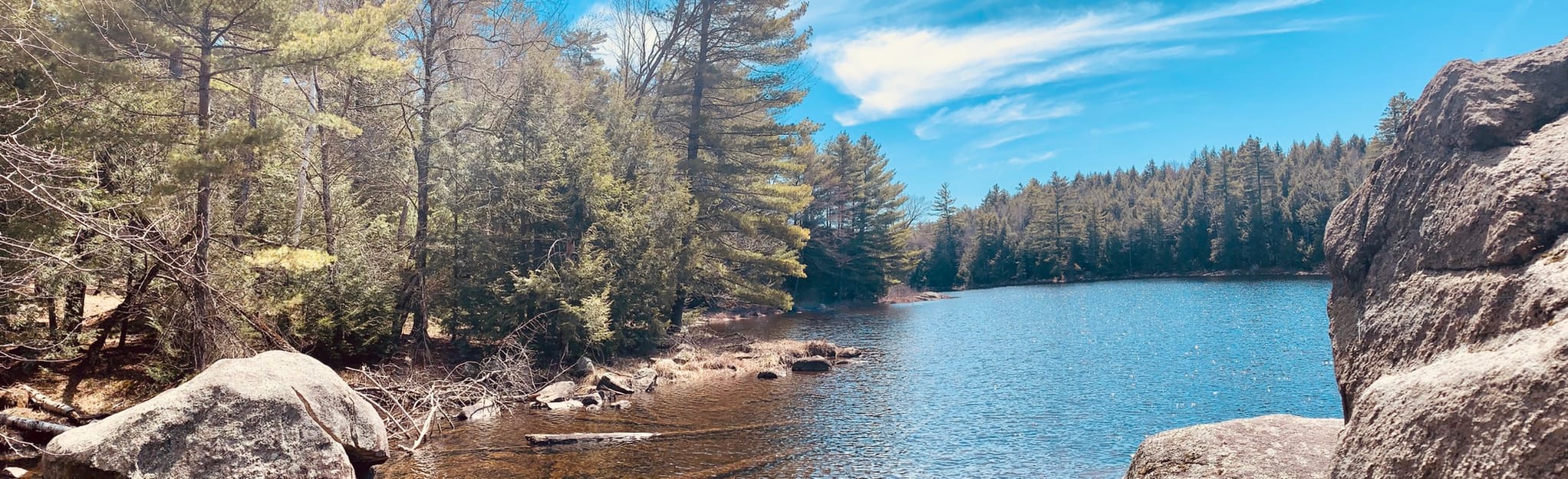 Crane Pond Trail 8 Reviews, Map New York AllTrails