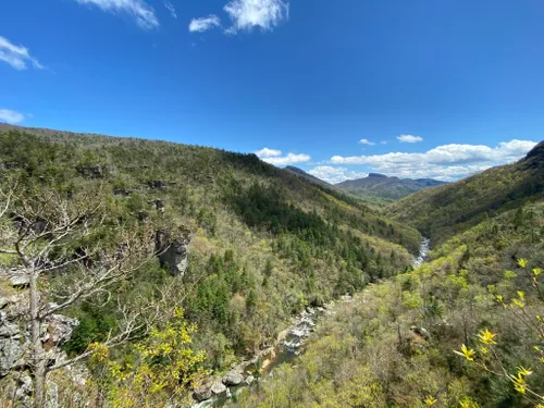 Not to brag, but Linville Gorge Wilderness is giving rugged good looks a  whole new meaning. ✨ Pull on your boots, grab a trail map and…