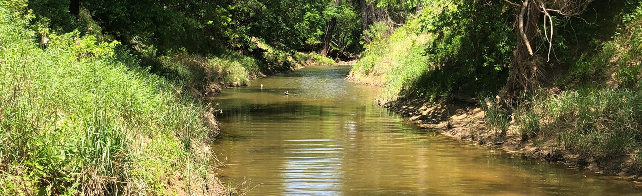 Lake Mineral Wells Trail, Texas 397 Reviews, Map AllTrails