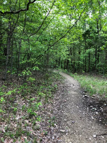 Best 10 Hikes and Trails in Monte Sano State Park | AllTrails