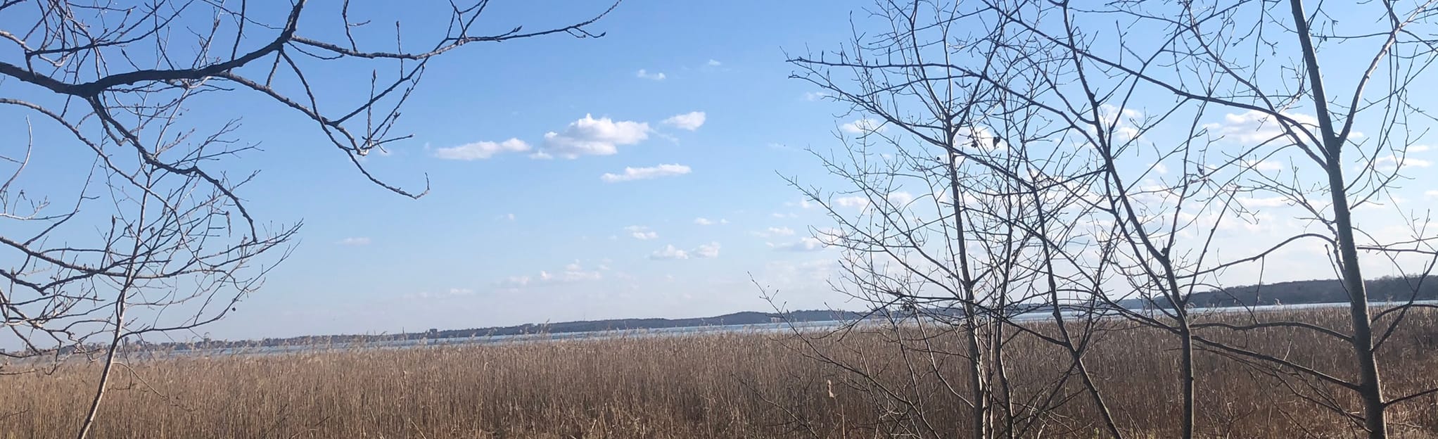 Jackson Landing Loop 42 Reviews, Map Wisconsin AllTrails