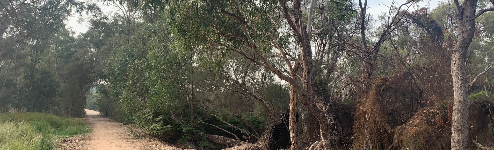 Ashfield Flats Loop 8 Reviews, Map Western Australia, Australia