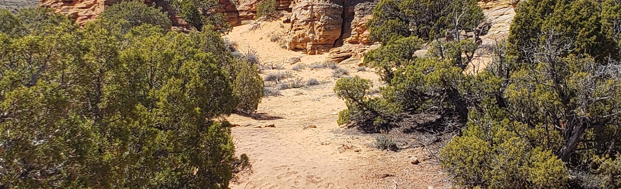 Petroglyph Canyon, Wyoming 27 Reviews, Map AllTrails