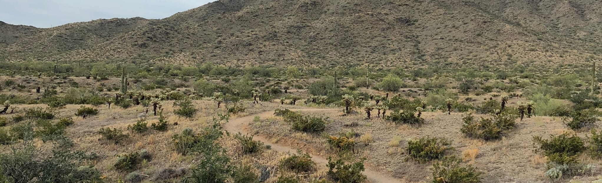 Granite Falls Trail via Turnbuckle Trail 413 Reviews, Map Arizona