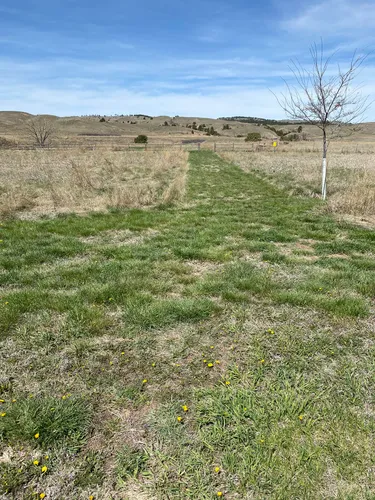 Escape to Sheps Canyon: A South Dakota Gem You Won't Want to Miss
