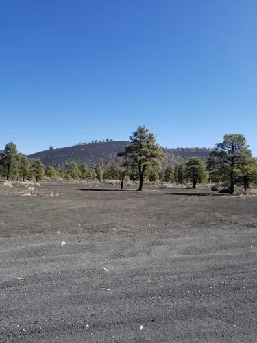 Cinder Hills OHV Loop, Arizona - 233 Reviews, Map | AllTrails