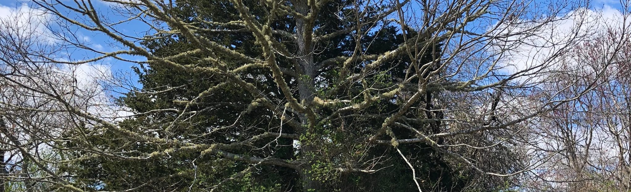 Sunset Farm Trail, Rhode Island 84 Reviews, Map AllTrails