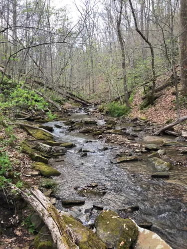 Shawnee state park clearance hiking