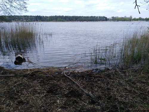 Gudower See - Göttin - Segrahn