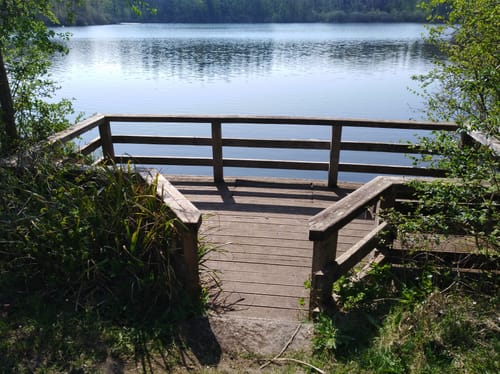 MTB Tour: Sagauer Runde